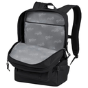 Рюкзак Jack Wolfskin BERKELEY DE LUXE 2530003_1010