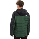 Чоловіча демісозонна куртка The North Face NF0A7WZWI0P1