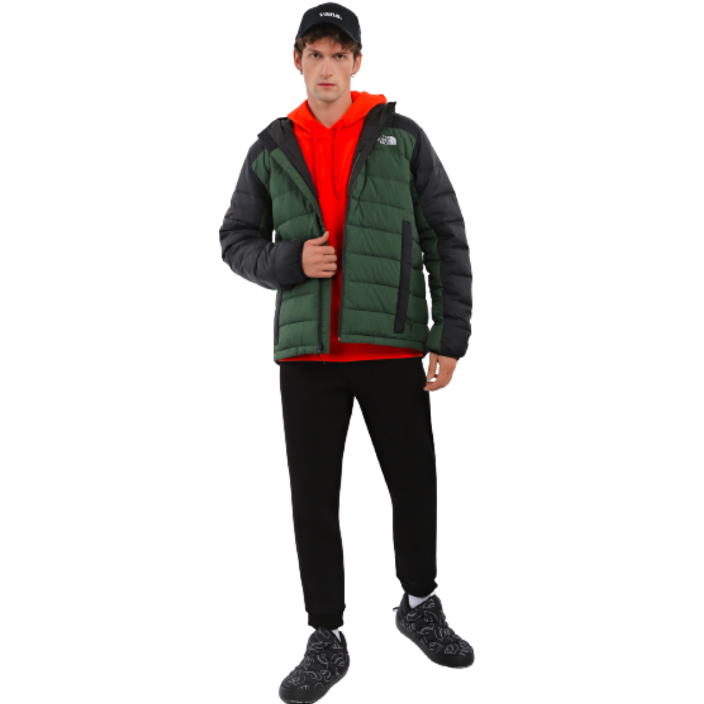 Чоловіча демісозонна куртка The North Face NF0A7WZWI0P1