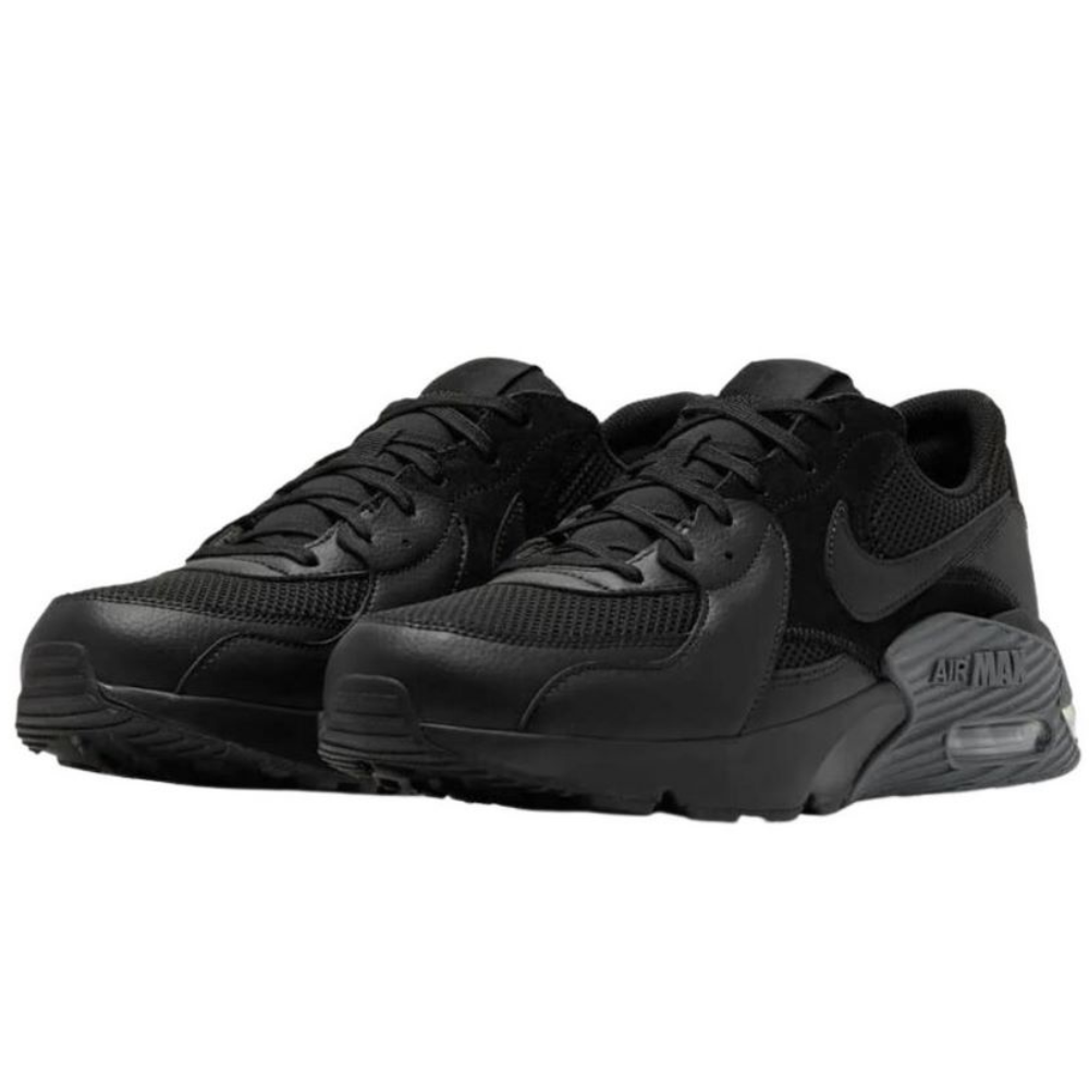 Чоловічі повсякденні кросівки NIKE Air Max Excee CD4165-003