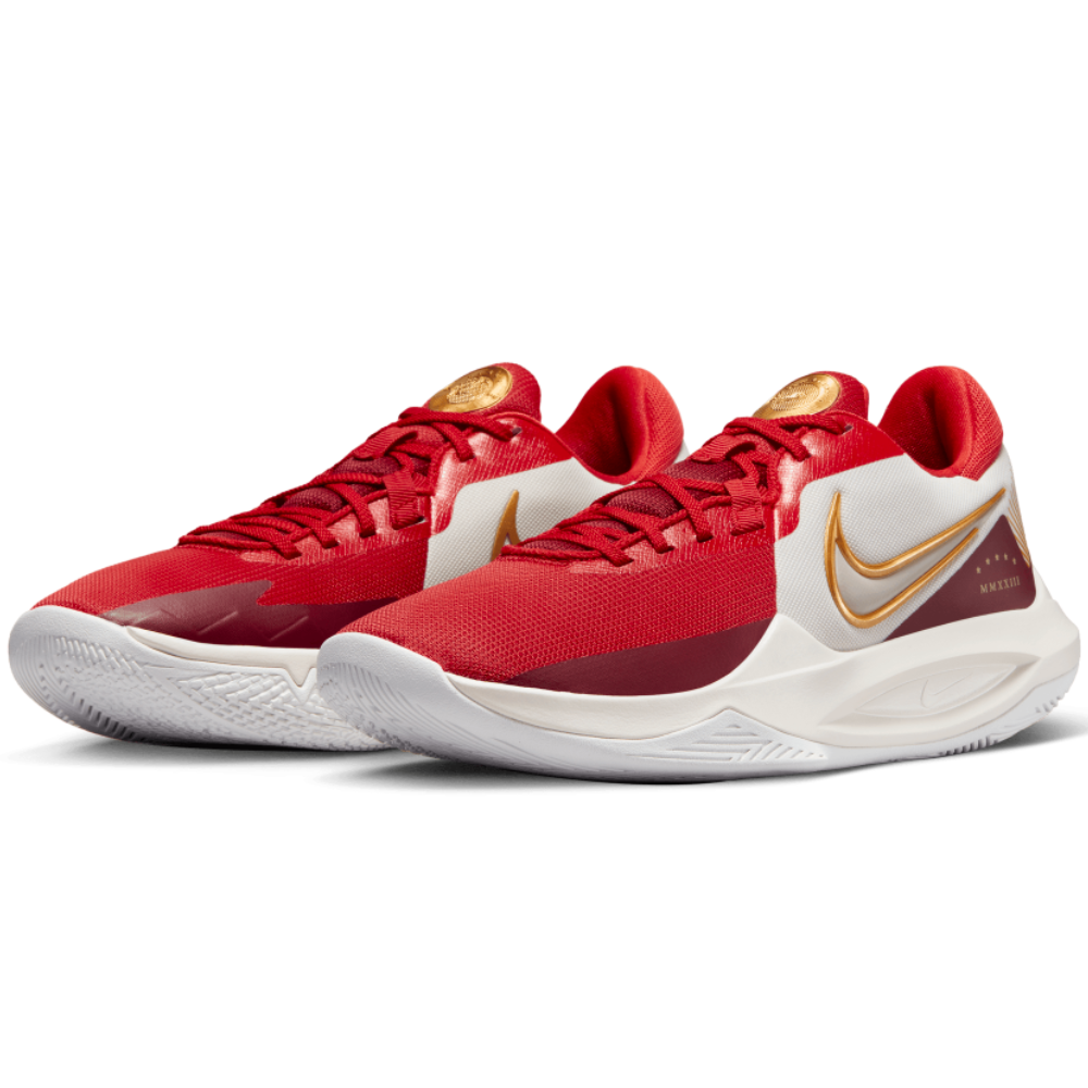Чоловічі повсякденні кросівки NIKE PRECISION VI DD9535-006