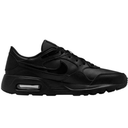 Чоловічі повсякденні кросівки NIKE AIR MAX SC LEATHER DH9636-001