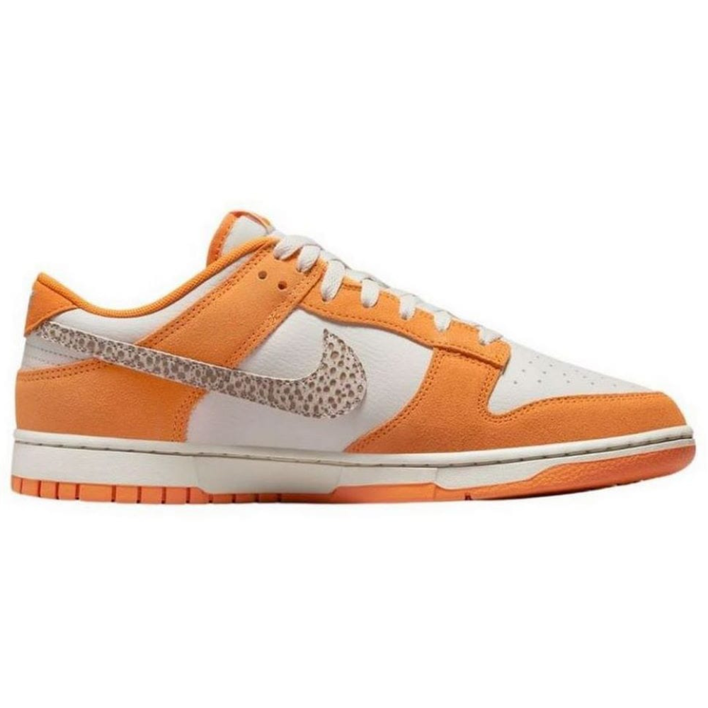 Чоловічі повсякденні кросівки NIKE Dunk Low DR0156-800