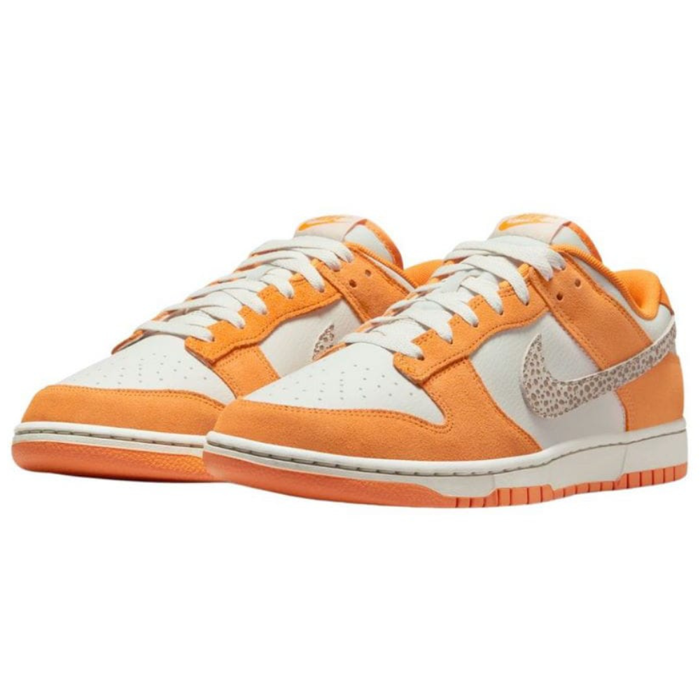 Чоловічі повсякденні кросівки NIKE Dunk Low DR0156-800