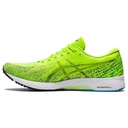 Чоловічі бігові кросівки Asics TRAIL SCOUT 1011B240-300