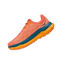 Чоловічі бігові кросівки Hoka One One Tecton X 1123162-CBCR