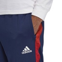 Чоловічі спортивні штани Adidas TAN Tape Clubhouse FM0894