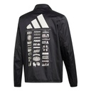 Чоловіча куртка Adidas Athletics Pack DX9326