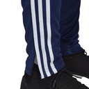 Чоловічі спортивні штани Adidas Tiro 19 DT5174
