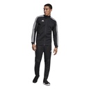 Чоловічі спортивні штани Adidas Tiro 19 D95958