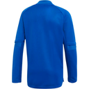 Дитячий реглан Adidas Regista 18 CZ8655