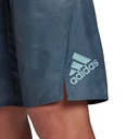 Чоловічі пляжні шорти Adidas FADING TECH FJ3910