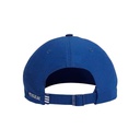 Кепка Adidas Primeblue Dad GS2089