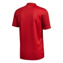 Чоловіча футболка Adidas Spain Home JSY FR8361