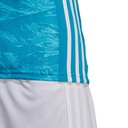 Чоловічий воротарський лонгслів Adidas AdiPro 18 DP3139