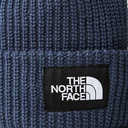 Шапка The North Face NF0A3FJWHDC1