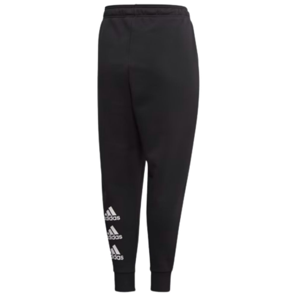 Жіночі штани Adidas W BOS FLC PT IN GC6973