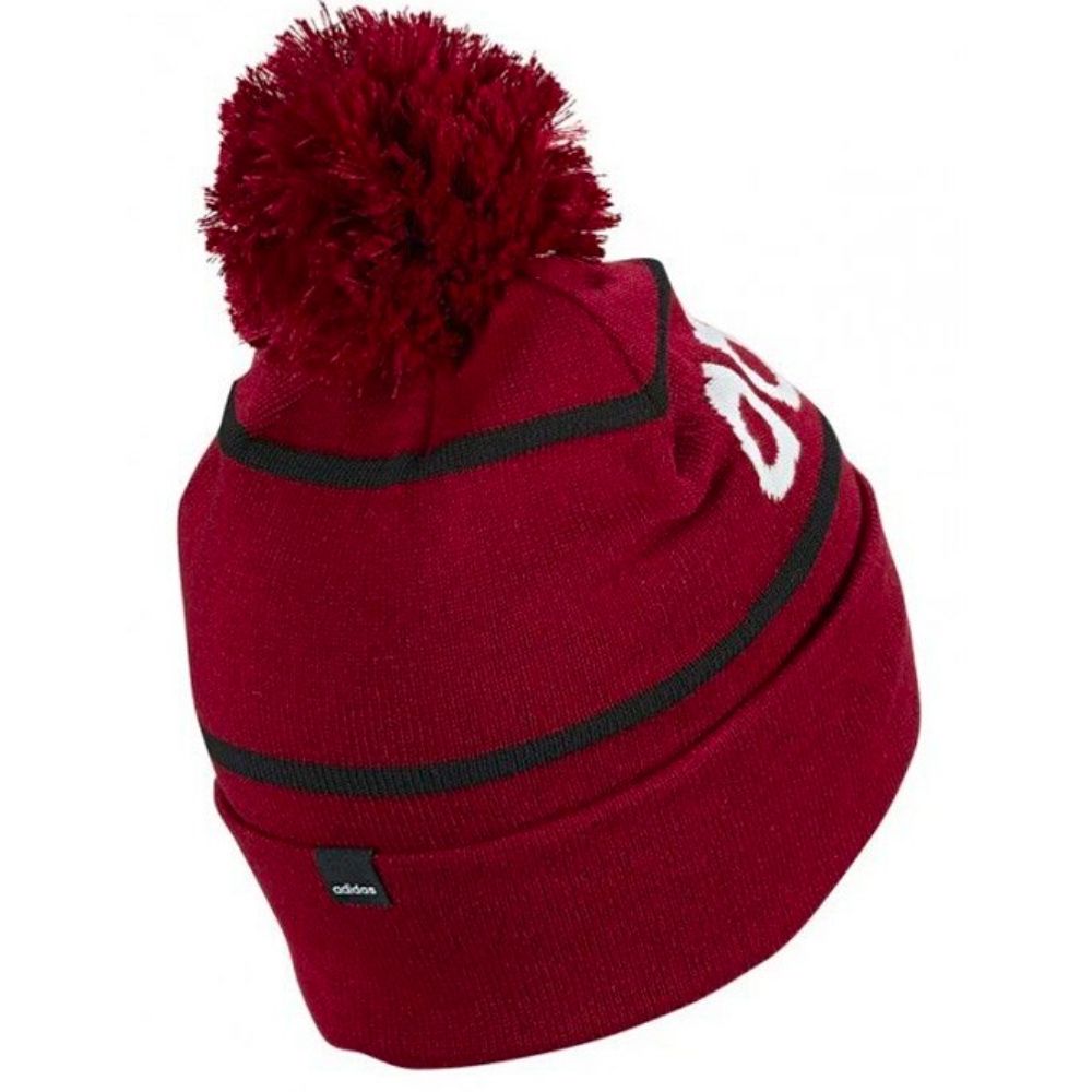 Шапка Adidas Logo Pom Woolie ED0241