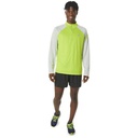 Чоловічий лонгслів Asics ICON LS 1/2 ZIP 2011C732-302