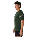 Чоловіча спортивна футболка Asics ICON SS TOP 2011C734-305