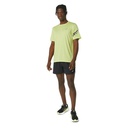 Чоловіча спортивна футболка Asics ICON SS TOP 2011C734-750