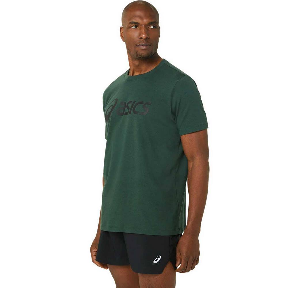 Чоловіча футболка Asics BIG LOGO TEE 2031A978-306