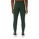 Чоловічі спортивні штани Asics BIG LOGO SWEAT PANT 2031A977-300