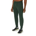 Чоловічі спортивні штани Asics BIG LOGO SWEAT PANT 2031A977-300