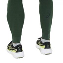 Чоловічі спортивні штани Asics BIG LOGO SWEAT PANT 2031A977-300