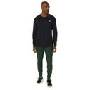 Чоловічі спортивні штани Asics BIG LOGO SWEAT PANT 2031A977-300