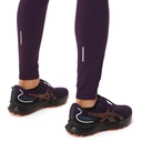 Жіночі тайтси Asics WINTER RUN TIGHT 2012C381-500