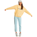 Жіночий світшот Quiksilver OVERSIZEDCREW W OTLREQWFT03040-YZN0