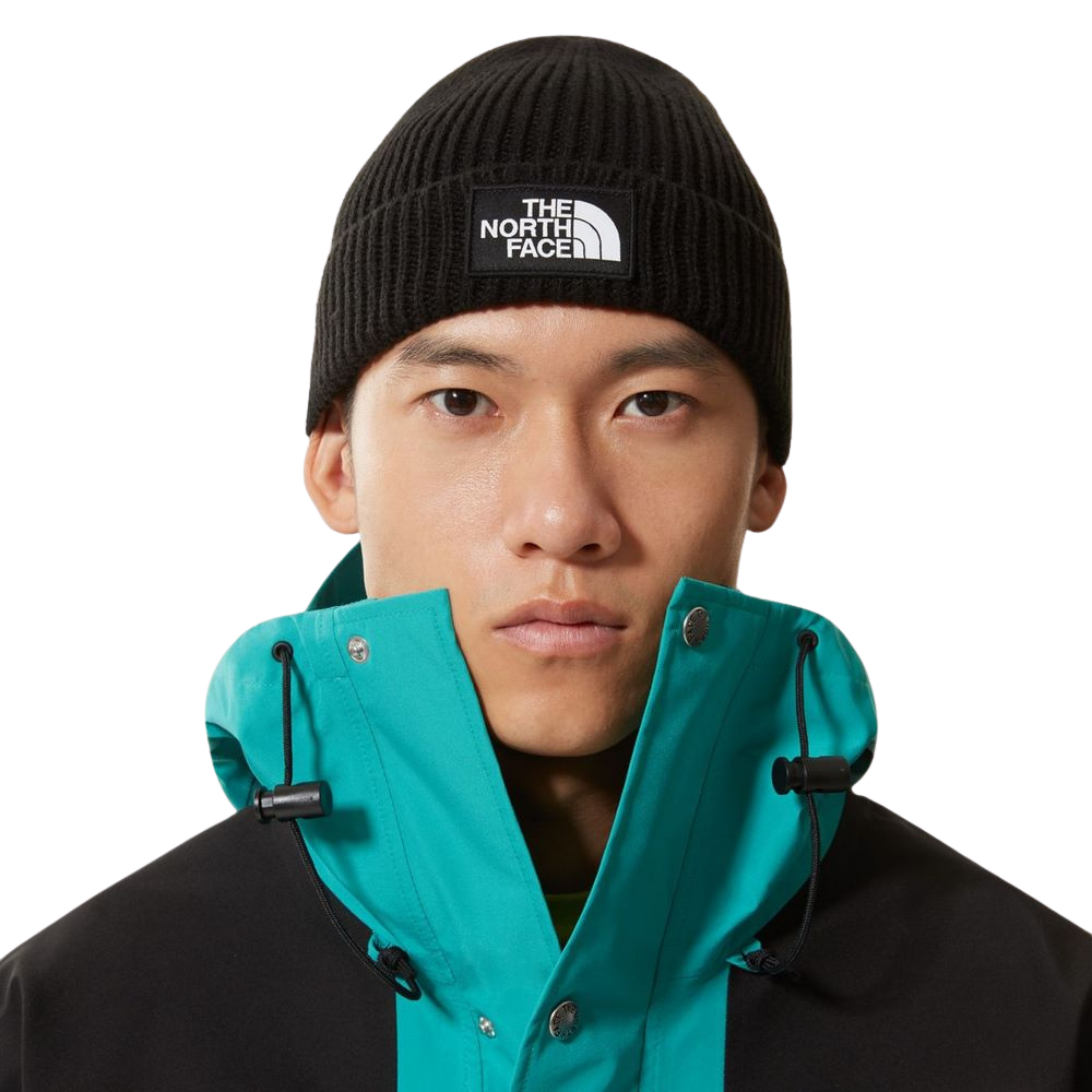 Шапка The North Face NF0A3FJXJK31