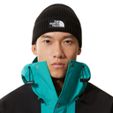 Шапка The North Face NF0A3FJXJK31