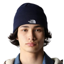 Шапка The North Face NF0A3FNT8K21
