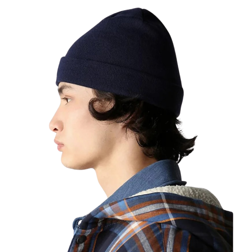 Шапка The North Face NF0A3FNT8K21