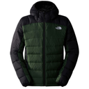 Чоловіча демісозонна куртка The North Face NF0A7WZWI0P1