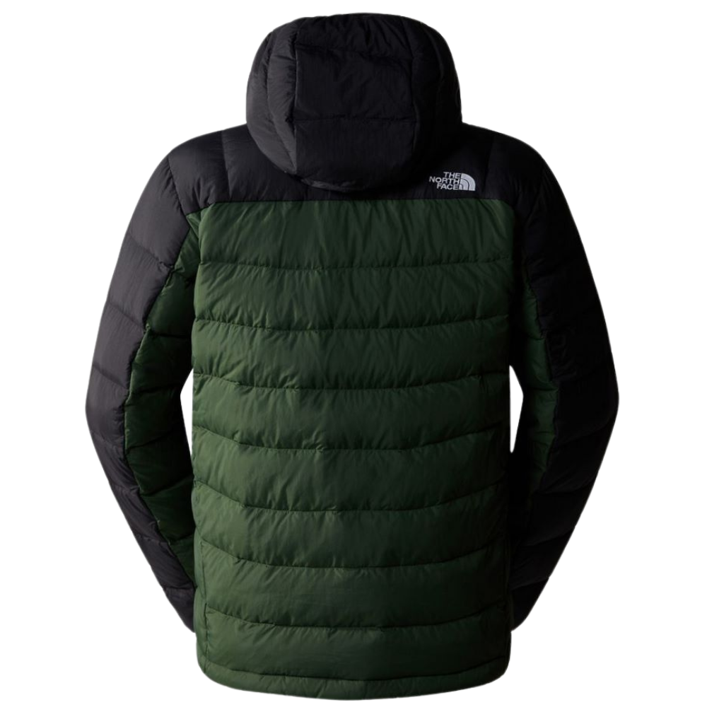 Чоловіча демісозонна куртка The North Face NF0A7WZWI0P1