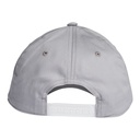 Кепка Adidas Daily GE1165