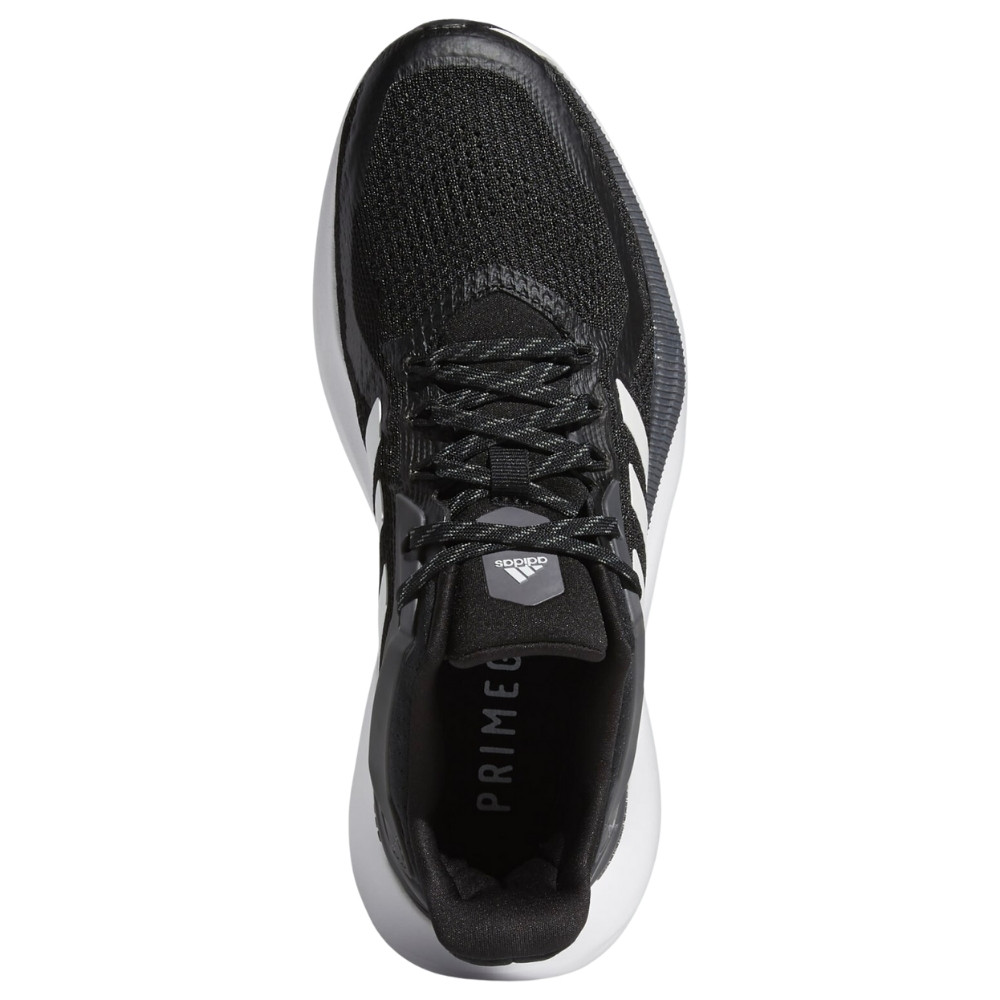 Жіночі бігові кросівки Adidas Alphatorsion 2.0 W GZ8766