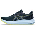 Чоловічі бігові кросівки Asics GT-2000 12 1011B691-403