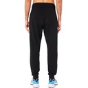 Чоловічі спортині штани Asics ASICS LOGO SWEATPANT 2031E189-002
