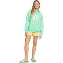 Жіноче худі ROXY THATS RAD J OTLR ERJFT04698-GHY0