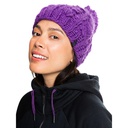 Жіноча шапка ROXY WINTERBEANIE HDWR ERJHA03871-PPR0