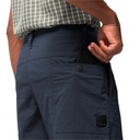 Шорти чоловічі Jack Wolfskin DESERT SHORTS M 1508341_1010