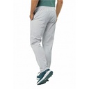 Чоловічі штани Jack Wolfskin PRELIGHT PANTS M 1508991_6709