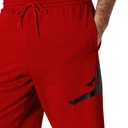 Чоловічі спортивні шорти Jordan Jumpman Logo Shorts DB1812-687
