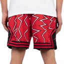 Чоловічі спортивні шорти Jordan MJ DF SPRT AOP DMND SHORT DH9079-687