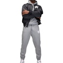 Чоловічі штани JORDAN M ESS STMT FLC PANT DQ7468-091