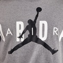 Чоловіча футболка Jordan Air Stretch T-Shirt  DV1445-091